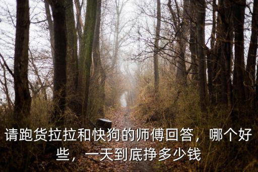 日照市領(lǐng)車去貨拉拉給多少錢,貨拉拉司機(jī)一個(gè)月能賺多少錢