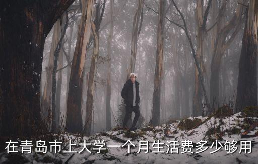 在青島市上大學(xué)一個(gè)月生活費(fèi)多少夠用