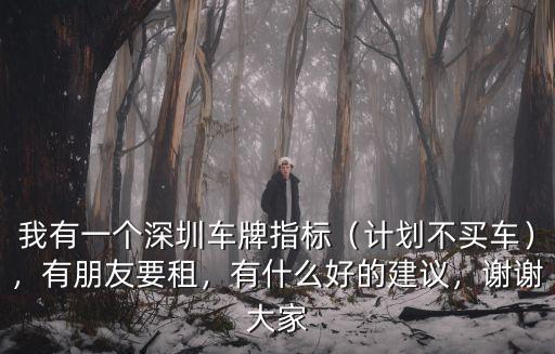 我有一個深圳車牌指標（計劃不買車），有朋友要租，有什么好的建議，謝謝大家