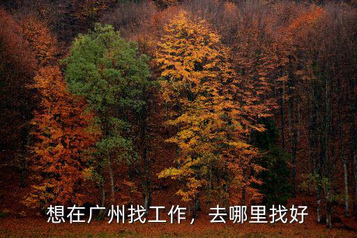 找工作信息廣州哪里有,去廣州找工作