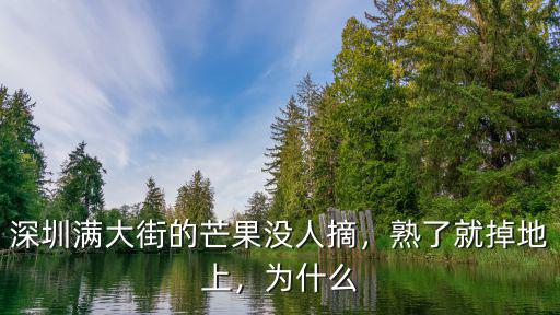 深圳滿大街的芒果沒人摘，熟了就掉地上，為什么