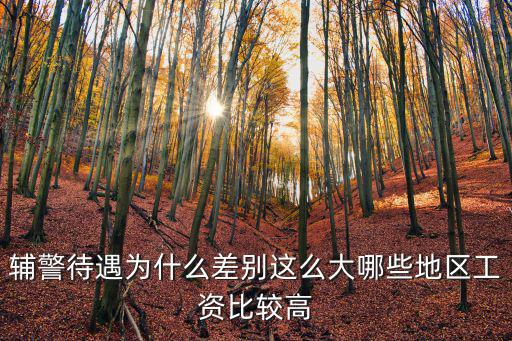 杭州市的輔警工資多少,大專輔警一般工資多少