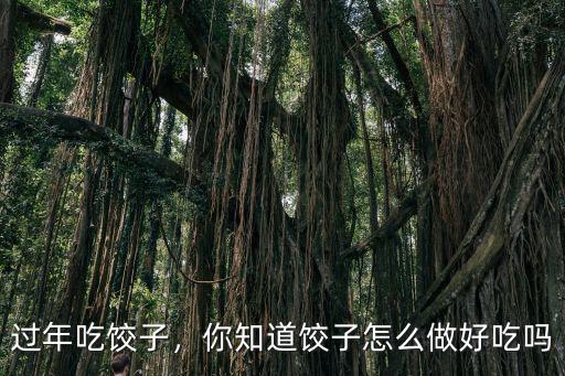 東莞過年炸餃怎么做,東莞的玉米餃子怎么做