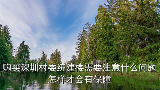 購買深圳村委統(tǒng)建樓需要注意什么問題怎樣才會有保障