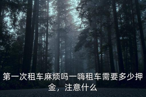 第一次租車麻煩嗎一嗨租車需要多少押金，注意什么
