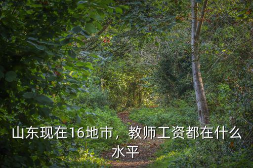 山東現(xiàn)在16地市，教師工資都在什么水平