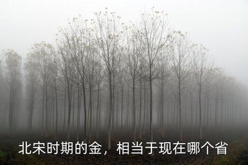 北宋時期的金，相當于現(xiàn)在哪個省