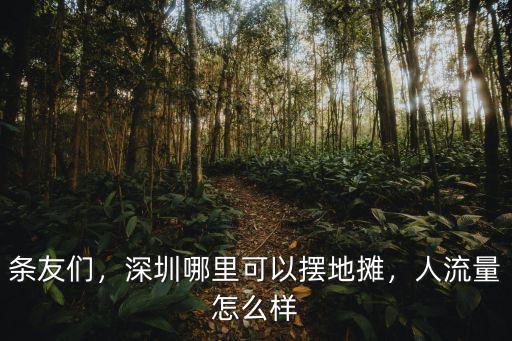 條友們，深圳哪里可以擺地攤，人流量怎么樣