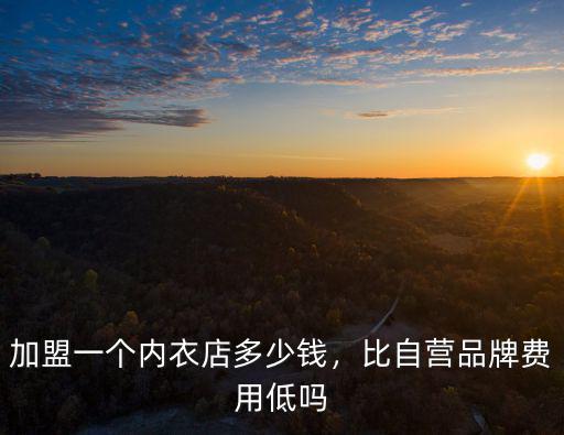 加盟一個內衣店多少錢，比自營品牌費用低嗎