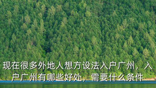 投資多少可以入戶廣州,入戶廣州有哪些好處