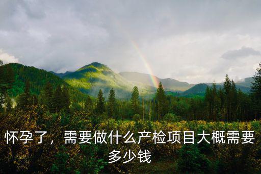 懷孕了，需要做什么產檢項目大概需要多少錢