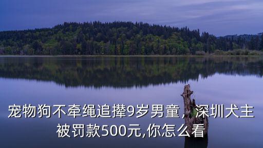 深圳遛狗不牽繩罰款多少,深圳遛狗不栓繩無人管理