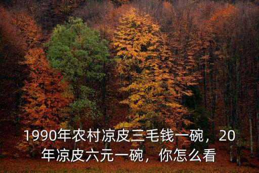 紹興市的涼皮多少錢一碗,20年涼皮六元一碗
