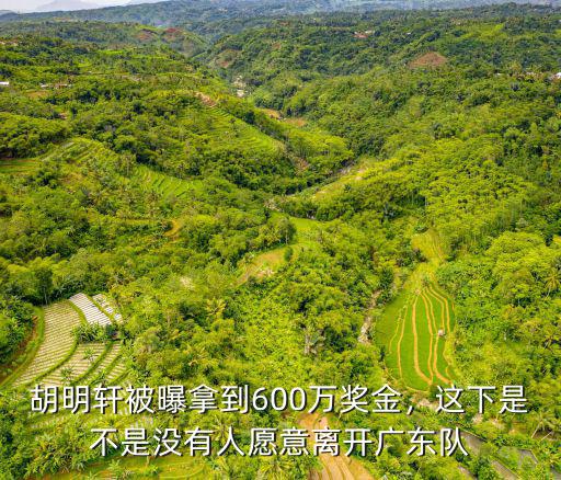 廣東隊胡明軒現在怎么樣,廣東隊的胡明軒