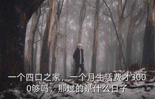 一個(gè)四口之家，一個(gè)月生活費(fèi)才3000夠嗎，那過(guò)的是什么日子
