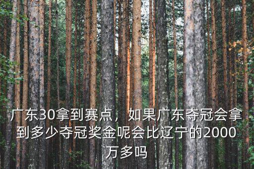 廣東30拿到賽點，如果廣東奪冠會拿到多少奪冠獎金呢會比遼寧的2000萬多嗎