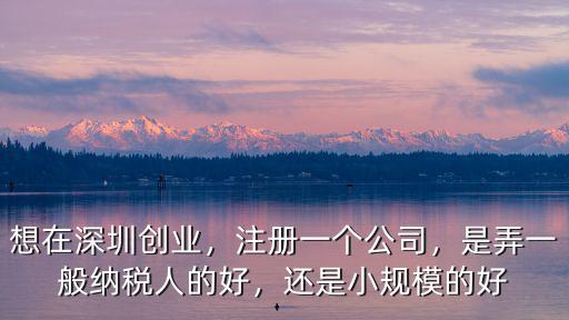 想在深圳創業，注冊一個公司，是弄一般納稅人的好，還是小規模的好
