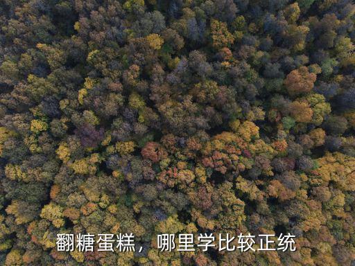 廣州哪里有學(xué)翻糖的,哪里學(xué)比較正統(tǒng)