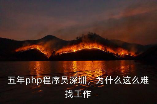 五年php程序員深圳，為什么這么難找工作