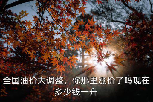溫州現(xiàn)在油價(jià)92多少錢(qián)一升,全國(guó)油價(jià)大調(diào)整