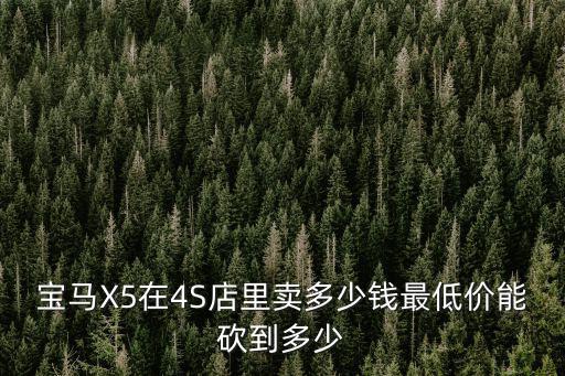 溫州寶馬4s店x5報價多少,最低價能砍到多少