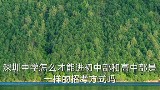 怎么在深圳中學官網投簡歷,在網上投簡歷可靠嗎