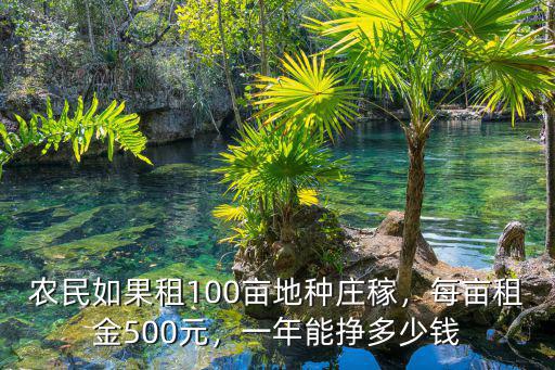 農(nóng)民如果租100畝地種莊稼，每畝租金500元，一年能掙多少錢