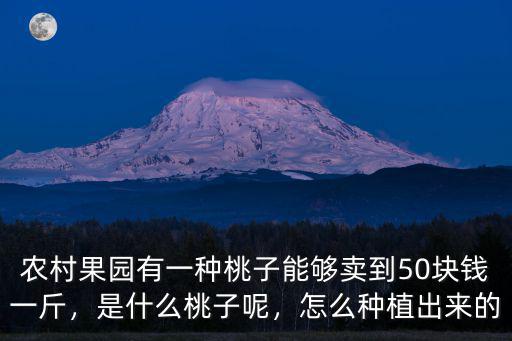 農(nóng)村果園有一種桃子能夠賣到50塊錢一斤，是什么桃子呢，怎么種植出來的