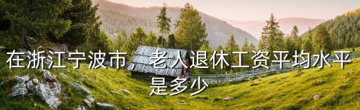 在浙江寧波市，老人退休工資平均水平是多少