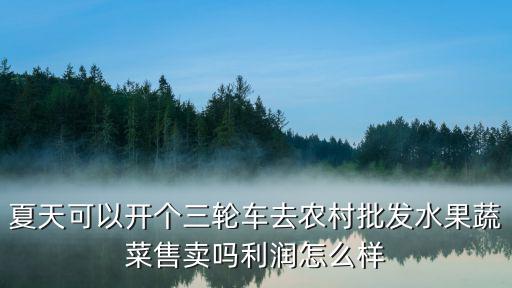 在深圳開三輪車買水果怎么樣,想買一個摩托三輪車