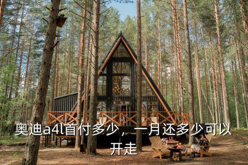 東營(yíng)奧迪a4l首付多少,如果走分期首付多少