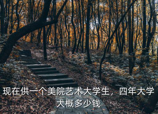 現(xiàn)在供一個(gè)美院藝術(shù)大學(xué)生，四年大學(xué)大概多少錢
