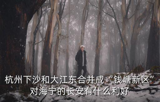杭州錢塘新區(qū)人口多少,杭州設(shè)立錢塘新區(qū)未來怎么樣