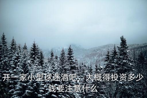 日照小酒吧投資多少錢,大概得投資多少錢