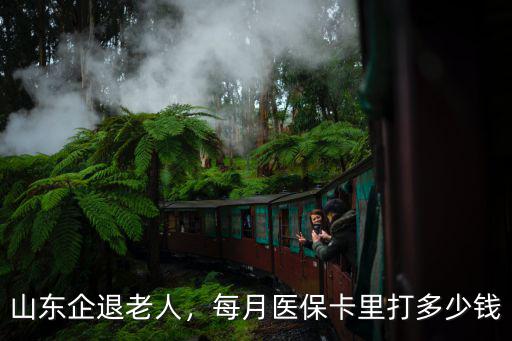山東企退老人，每月醫保卡里打多少錢