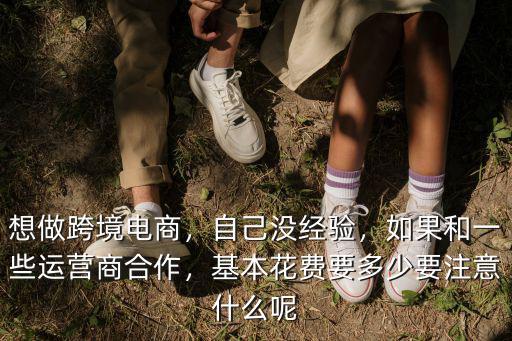 想做跨境電商，自己沒經驗，如果和一些運營商合作，基本花費要多少要注意什么呢