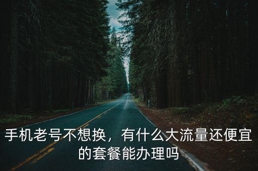 手機老號不想換，有什么大流量還便宜的套餐能辦理嗎
