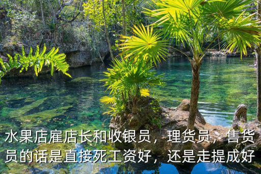 水果店雇店長和收銀員，理貨員，售貨員的話是直接死工資好，還是走提成好