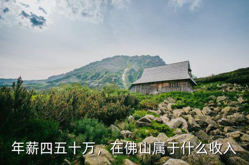 佛山鞋王一年收入多少,佛山正科級公務員年薪多少