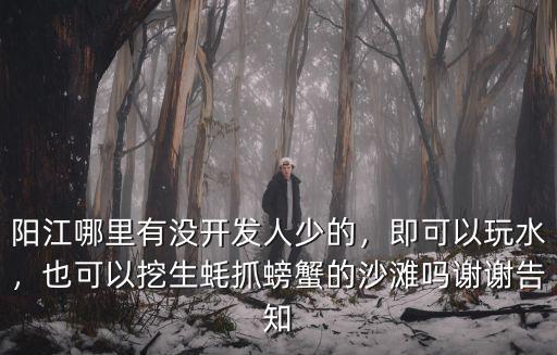 陽江哪里有沒開發(fā)人少的，即可以玩水，也可以挖生蠔抓螃蟹的沙灘嗎謝謝告知