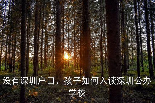 沒有深圳戶口，孩子如何入讀深圳公辦學校