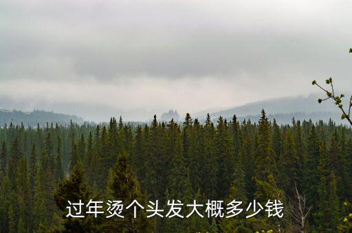 過年燙個頭發大概多少錢