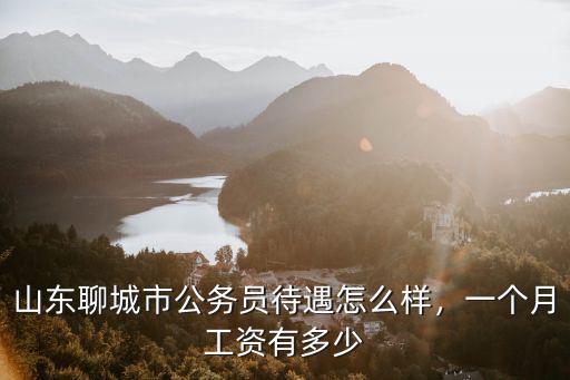 聊城海關工資是多少,海關公務員一年收入多少
