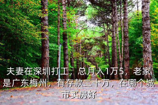 夫妻在深圳打工，總月入1萬5，老家是廣東梅州，有存款二十萬，在哪個城市買房好