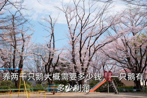 廣州一只鵝值多少錢,養兩千只鵝大概需要多少錢