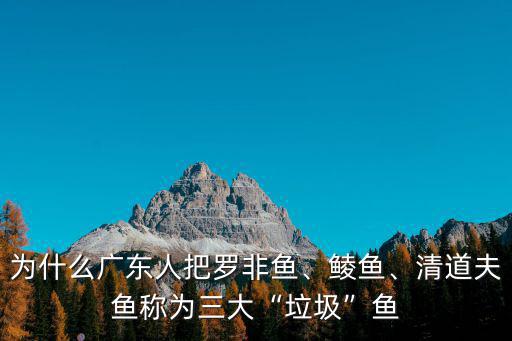 為什么廣東人把羅非魚、鯪魚、清道夫魚稱為三大“垃圾”魚