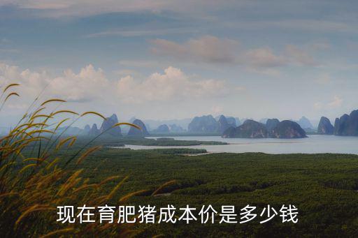 現在育肥豬成本價是多少錢