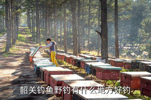 韶關哪里釣魚最好,韶關釣魚野釣有什么地方好釣