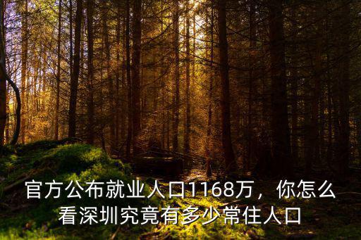 深圳長居人口有多少,深圳究竟有多少常住人口