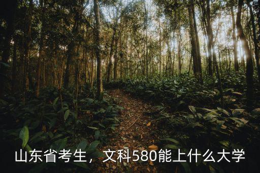 山東省考生，文科580能上什么大學